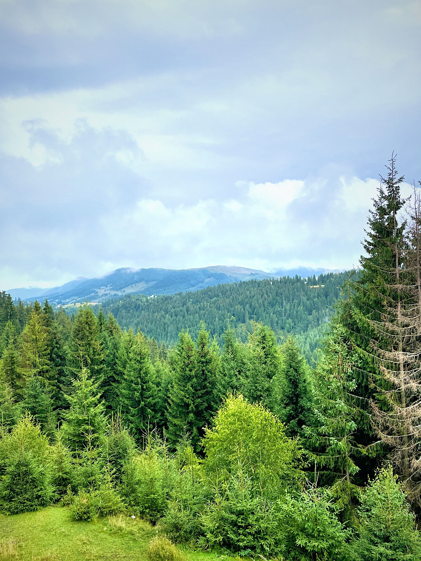 Mountain landscape around Cranberry Cabin