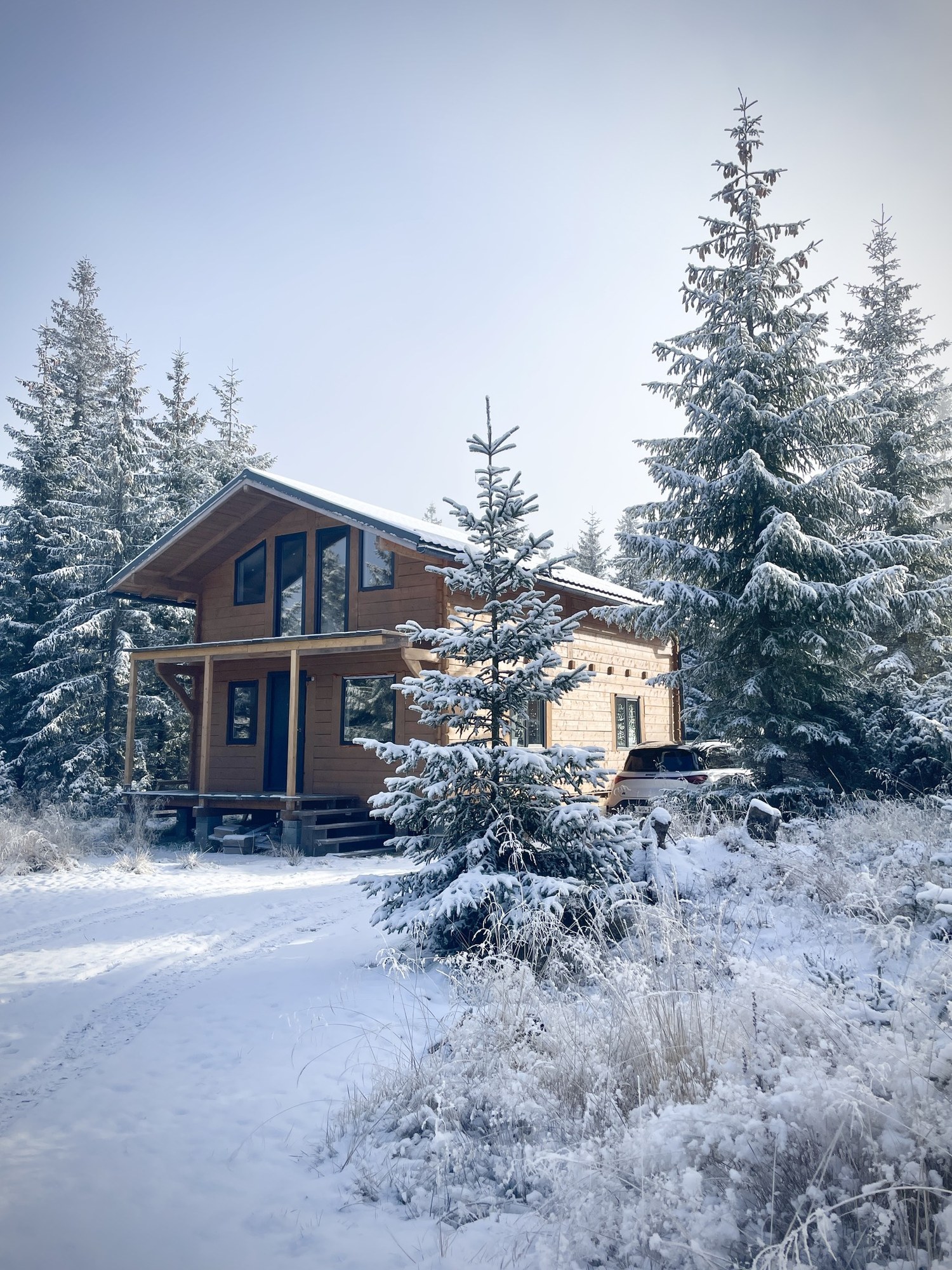 Winter at Cranberry Cabin